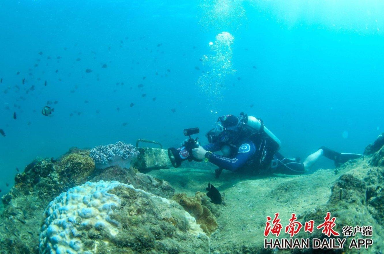 如果你现在认识的这一位男朋友有5个小孩，你会跟他结婚吗？游戏画面